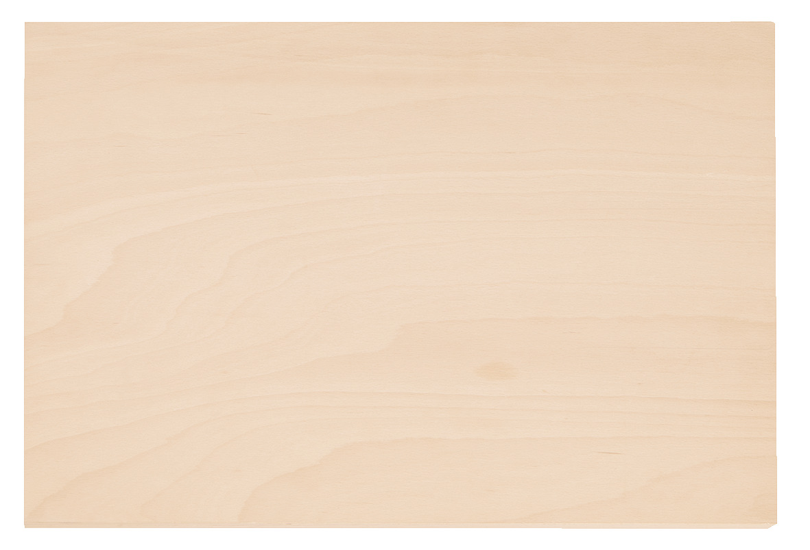 1110 WMHP 2 Wooden worktop for WorkMo B2