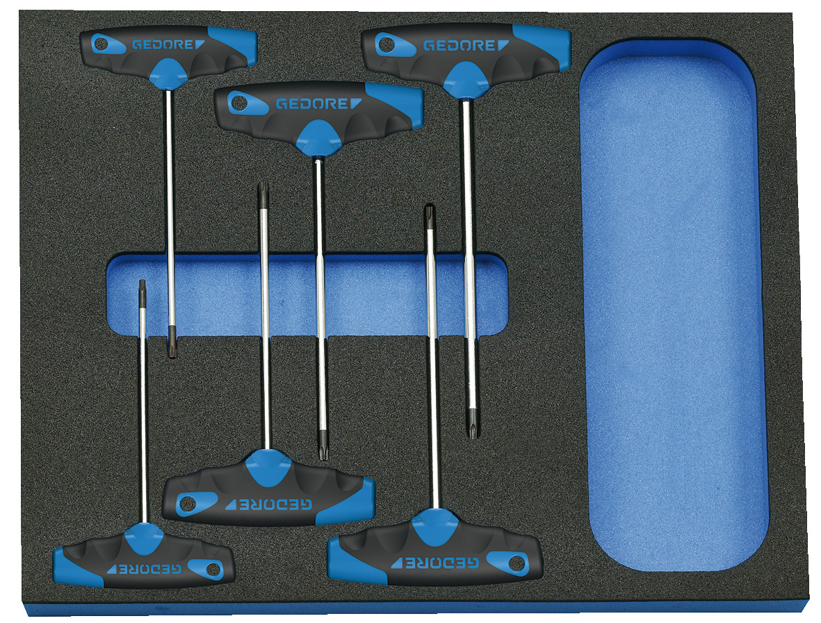 2005 CT2-2142 TX Schraubendreher-Satz in 2/4 Check-Tool-Modul